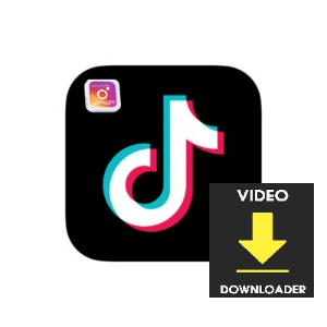 tiktok video downloader